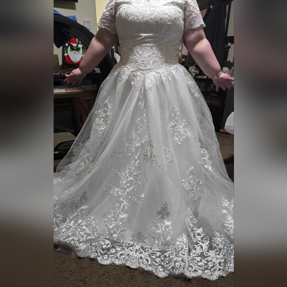 Elegant Lace Wedding Gown